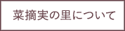 菜摘実の里について